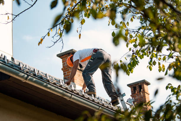 Best Metal Roofing Contractor  in California, PA